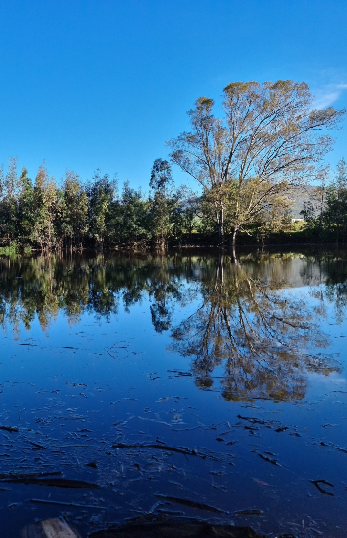 Ecosystem services project in FSC-certified forest in South Africa